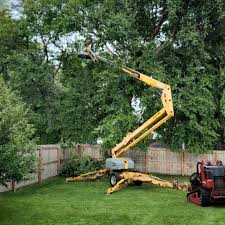 Best Lawn Maintenance Plans  in Lake Of The Woods, VA